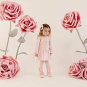 ADee dream dress and tights image