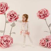 ADee Darla dress and tights image