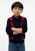 Tommy Hilfiger Argyle Polo 10692
