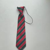 Firies National School Elastic Tie