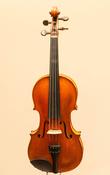 Ladies violin image