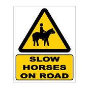 Slow: Horse on Road