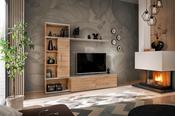 Rio TV Unit