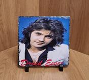 Slate Tile David Essex