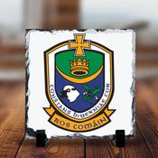 County Crest Roscommon Slate image