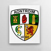 Antrim County Crest Wall Decor