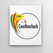 County Crest Wall Decor Carlow