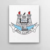 County Crest Wall Decor Dublin