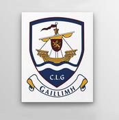 County Crest Wall Decor Galway