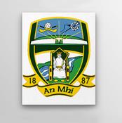County Crest Wall Decor Meath