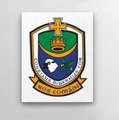 County Crest Wall Decor Roscommon image