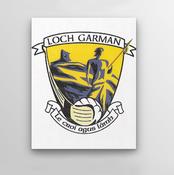 Wexford County Crest Wall Decor