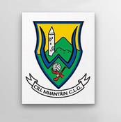 County Crest Wall Decor Wicklow image