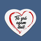 I Love you in Irish Heart Shaped Magnet