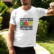 I'm Not Perfect Carlow T-Shirt image