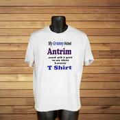 My Granny Visited Antrim T-Shirt image