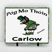 Pog Mo Thoin Carlow - 30cm by 20cm image