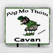 Pog Mo Thoin Cavan - 30cm by 20cm