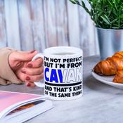 I'm Not Perfect Cavan Mug image