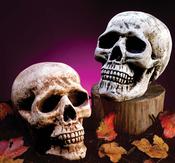 Skull Head 4 Asst.