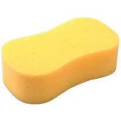Sponge