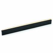 40 Pin Female header 