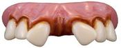 Mega Buck Teeth image