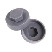 Mak Pak Slate Grey Hex Cap 19mm x 8mm (100pk)