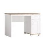 Pink Freesie Study Table - 120x60x75