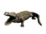 Gold Crocodile Home Decor – Bold, Luxe &amp; Unforgettable