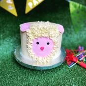Little Lamb Birthday Cake