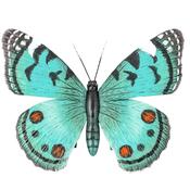 3D Butterfly Hook Wall Art image