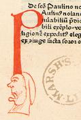 Hand-Drawn Initial 'P'