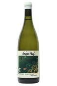 Angus Paul Barbary Fictions Chenin Blanc