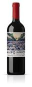 de martino ungrafted maipo cabernet sauvignon image