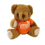 Marymount Teddy image
