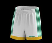 Official GAA Handball Short Solo Style image