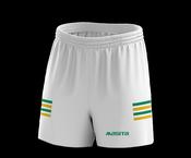 Official GAA Handball Short Ash Style image