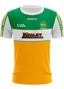 Offaly Boston Home Jersey Regular Fit Adult image