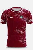 Shamrock Gaels  GAA Training Jersey Player Fit