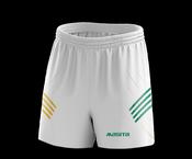 Official GAA Handball Short Arda Style image
