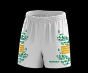 Official GAA Handball Short Apollo Style image