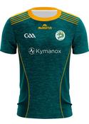 Raleigh Cú Chulainn Training Jersey Regular Fit Adult image