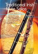 Broderick | Traditional Irish Flute Solo |The Turoe Stone | Volume 1 image
