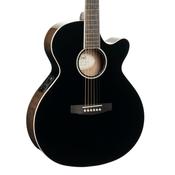 Cort Exotic-SFX Ash, Black image