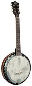 Barnes &amp; Mullins BJ306 Perfect 6 String Banjo
