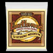 Ernie Ball Earthwood 12 String Medium image