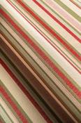 Agapanthus Red Stripe Fabric image