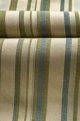 Agapanthus Blue Stripe Fabric image