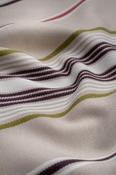 Sherwood Stripe Fabric image